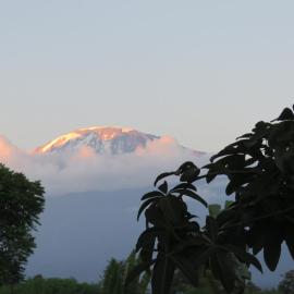 Kilimanjaro White House Hotel, hôtel à Moshi
