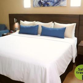 Rio Vista Inn Business High Class Tampico, hotel u gradu Tampiko