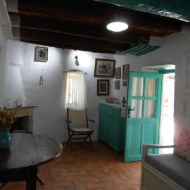 eco house