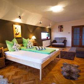Villa Townhouse 36 Sibiu