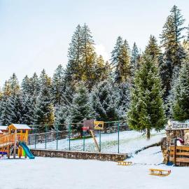 Viesnīca Hotel Floare de Colt pilsētā Mănăstirea Humorului