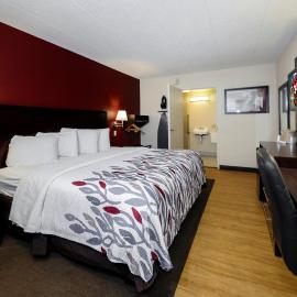 Red Roof Inn Detroit - Troy, hotel in Troy