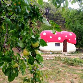Mushroom house - Sleeps 4 - Pets Ok - Parking