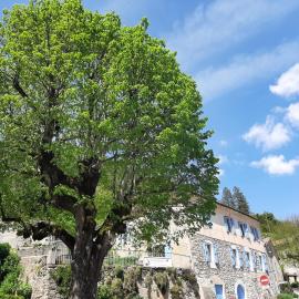 Le Sareymond, hotel di Menée