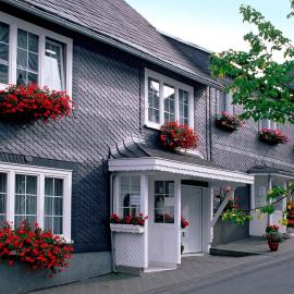 Panoramaferienwohnung Bergwiese
