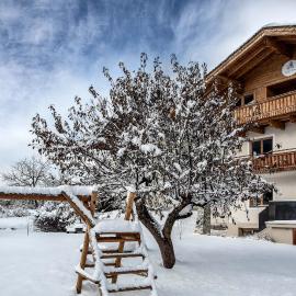 Alpine View Apartments, Hotel in Niedernsill