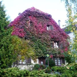 B&B de charme La Maison des 5 Temps, hotelli kohteessa Ferrette