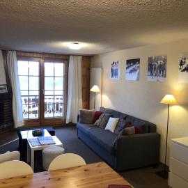 Mayens de l'Ours CZ 013 - MOUNTAIN apartment 8 per, hotell i Les Agettes