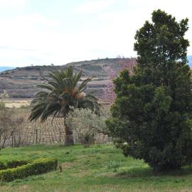 Casa Pichon Etxea con Degustación vinos Muro