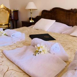 Wellness hotel Rezidence, hotel u gradu 'Nové Hrady'
