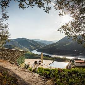 Vineyard and Views Exquisite Luxury Douro Villa with Sun-Drenched Infinity Pool, hotel in Folgosa