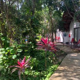Collection O EcoVergel Hotel Boutique Spa in Tulum、Chemuyilのホテル