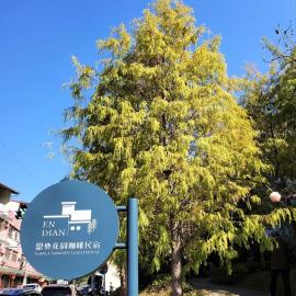 Grace Garden Coffee Homestay, хотел в Shuili