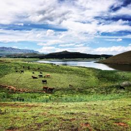 Lake Glencairn, hotel sa Underberg