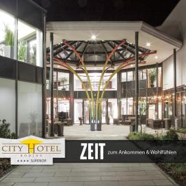 City Hotel Roding: Roding şehrinde bir otel