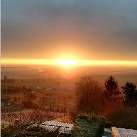 Vue panoramique sur le vignoble - 1D Rue Porte Oison, 18300 Sancerre, hotel in Sancerre