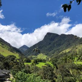 Cabañas Valle del Cocora La Truchera, hotelli kohteessa Salento