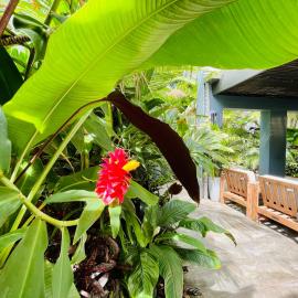 Lahania Lux Beach Villa