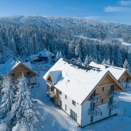 Ski Chalet Klínovec, Hotel in Loučná pod Klínovcem
