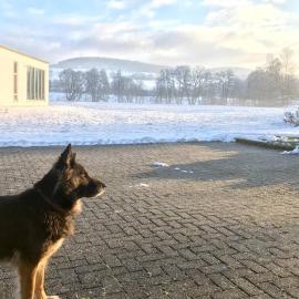 Ferienhaus Talblick