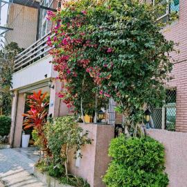 出汗Chu Han C&C B&B Homestay, khách sạn ở Madou