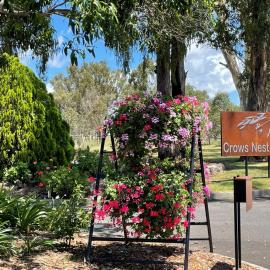 Crows Nest Motel, hotel a Crows Nest