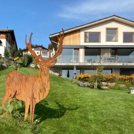 Casa Admisa, spektakuläre Aussicht, Ski in and out, hochwertige Einrichtung, Valserstein und Eiche, hotel in Flims