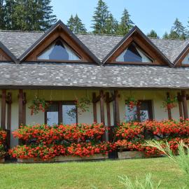 Pensiunea Inima Bucovinei, hotel in Frasin