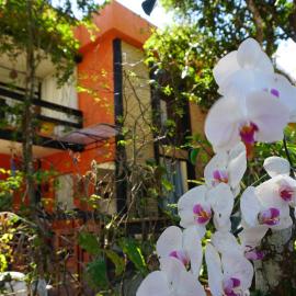 Pousada Casa Di Gaya Guesthouse