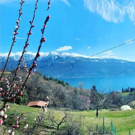 VillaTullia Ferienhaus mit Seesicht Gardasee, hotel u gradu 'Tignale'