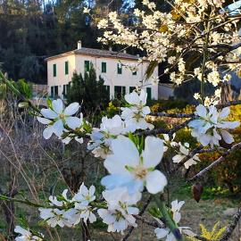 Agroturisme Finca Sa Maniga, hotel i Bunyola