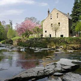 Dilston Mill, hotel in Hexham