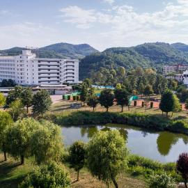 Montegrotto Terme में, होटल Hotel Terme Marconi