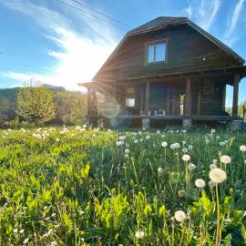 Гаєнка Мокра, hotel in Tur'ya Pasika