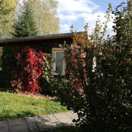 Ferienhaus Waldglück, hotel in Tanne