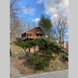 Regent Hilltop Cabin，Sandyville的飯店