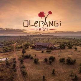 Olepangi Farm, hotel u gradu Nanyuki