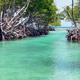 Combate Green House, hotel di Cabo Rojo