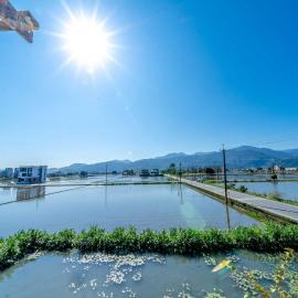 Yilan Real Fun Homestay
