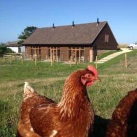 Bike Shed 1-Bed Cottage Sleeps 2 Adults only