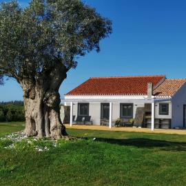 Kuanza Farmhouse and Lodge, hotel in Zambujeira do Mar