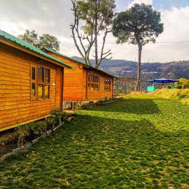 Golden valley cottages, Chail, Hotel in Chail