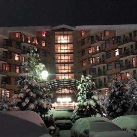 Flora Apartment 612A