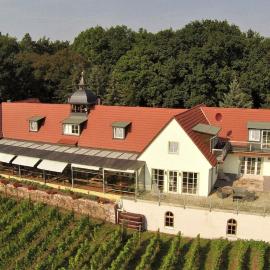 Pension Bella Vista - Winzerhof Golk, hotel in Meißen