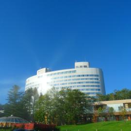 Shin Furano Prince Hotel, hotel v destinaci Furano