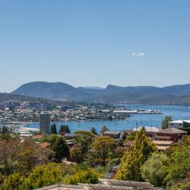 The Lookout
