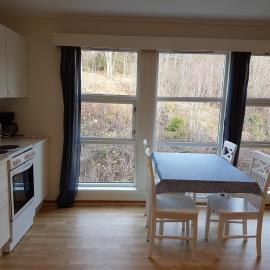 Viesnīca Seljord Apartment pilsētā Seljūra