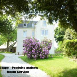 Château Bily B&B Hôtel, hotel in La Chèze