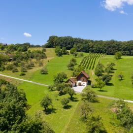 Weingarten & Appartement Auszeit with private Spa