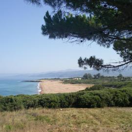 Tzanetos Seaside